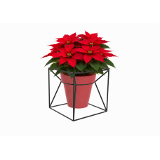 Supporto porta vaso in filo metallico - CUBE Supporto porta vaso in filo metallico - CUBE